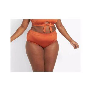 Lane Bryant Cacique Shimmer Swim Brief 18